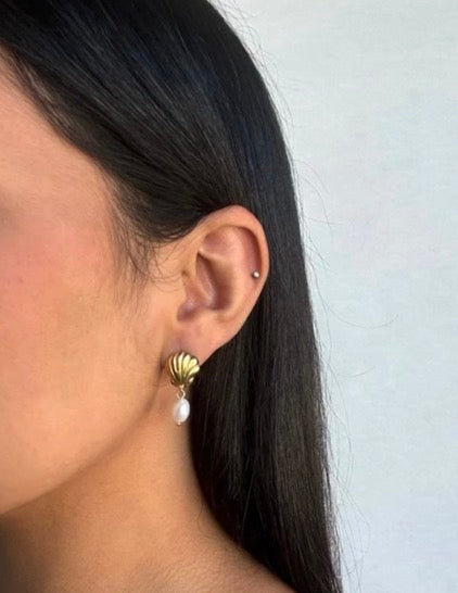 Shell Stud Earring SS