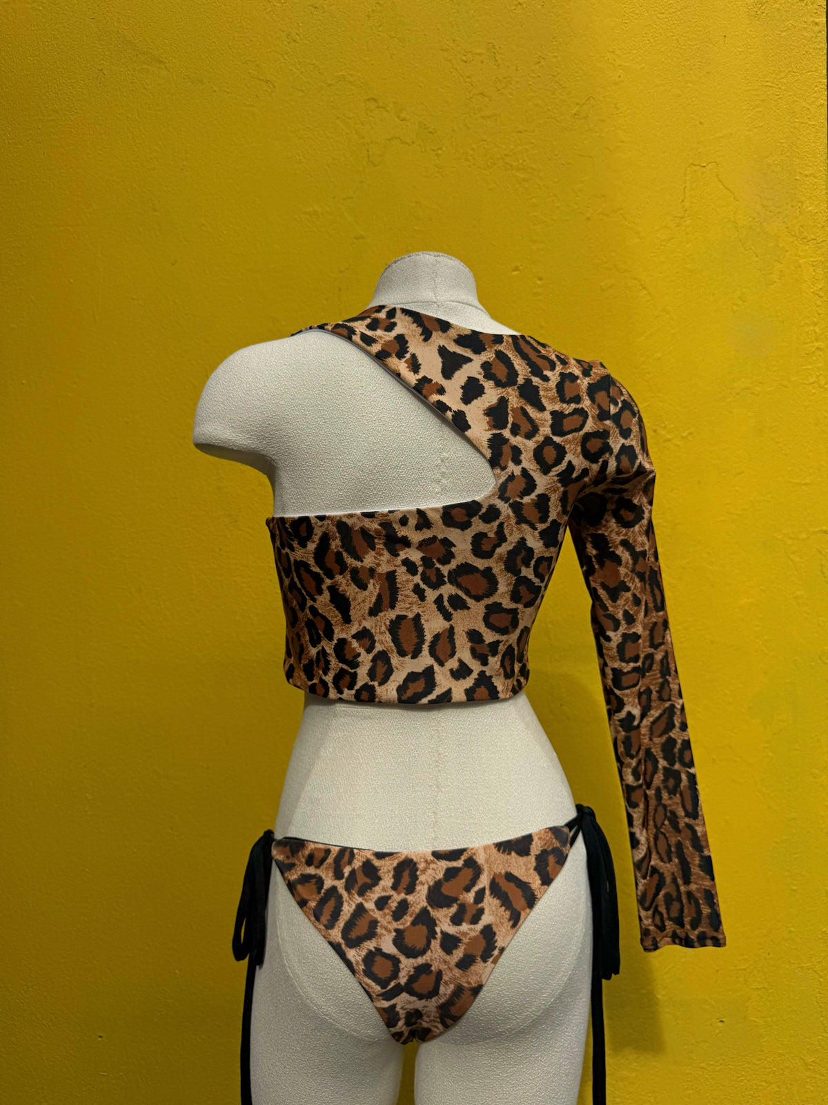 Asymmetrical Top